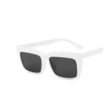 Load image into Gallery viewer, Sunglasses, Modern

